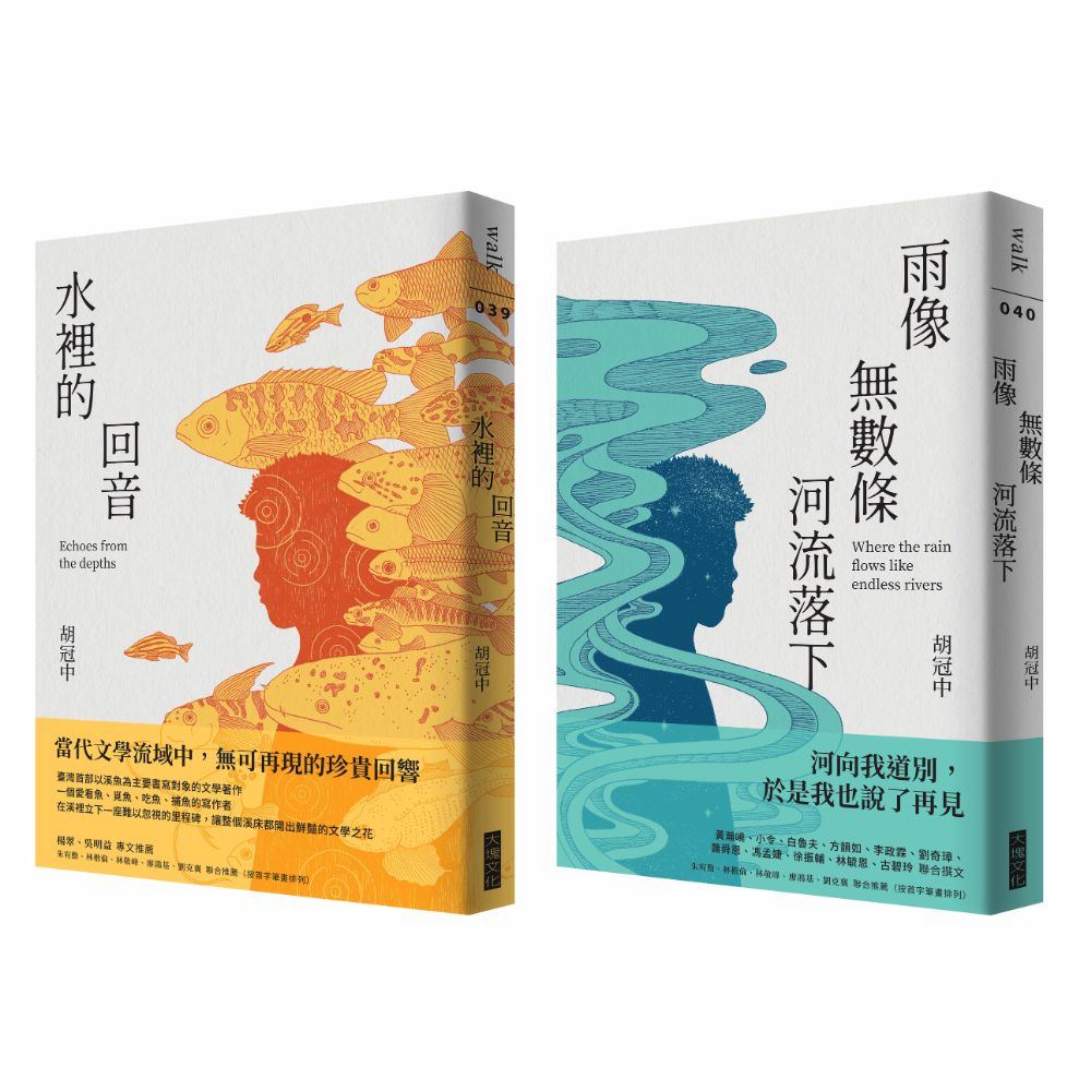胡冠中作品集：水裡的回音＋雨像無數條河流落下