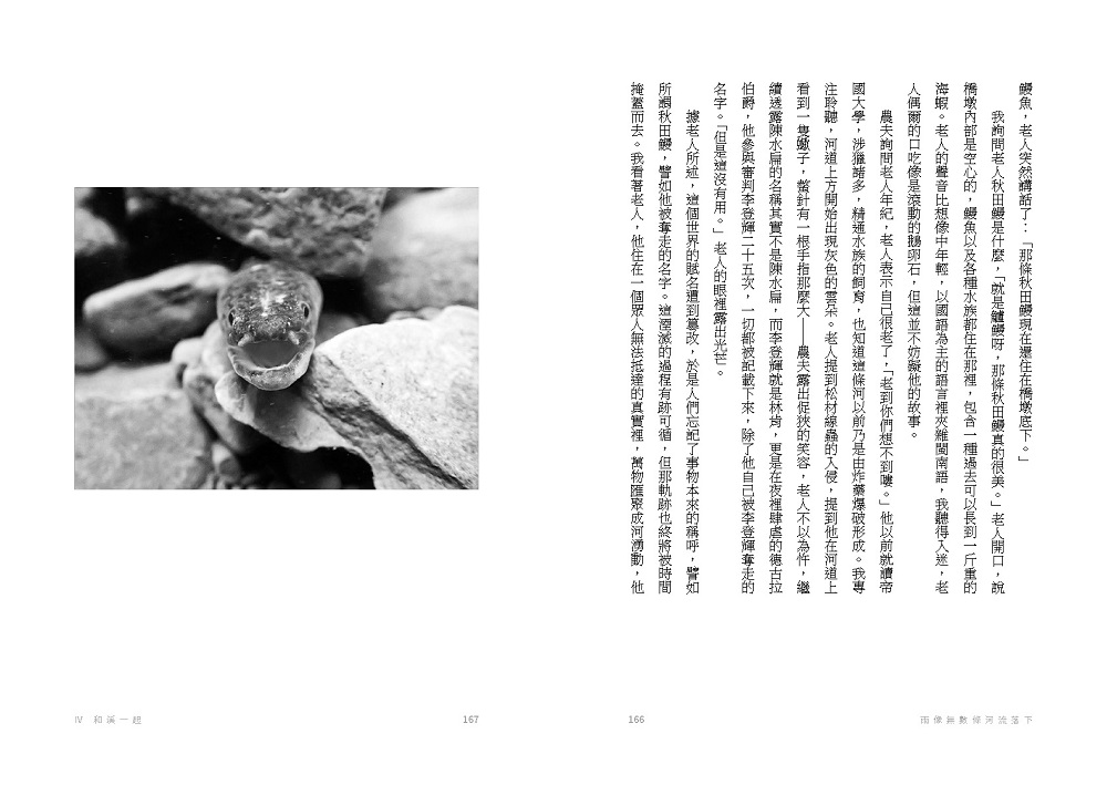 雨像無數條河流落下