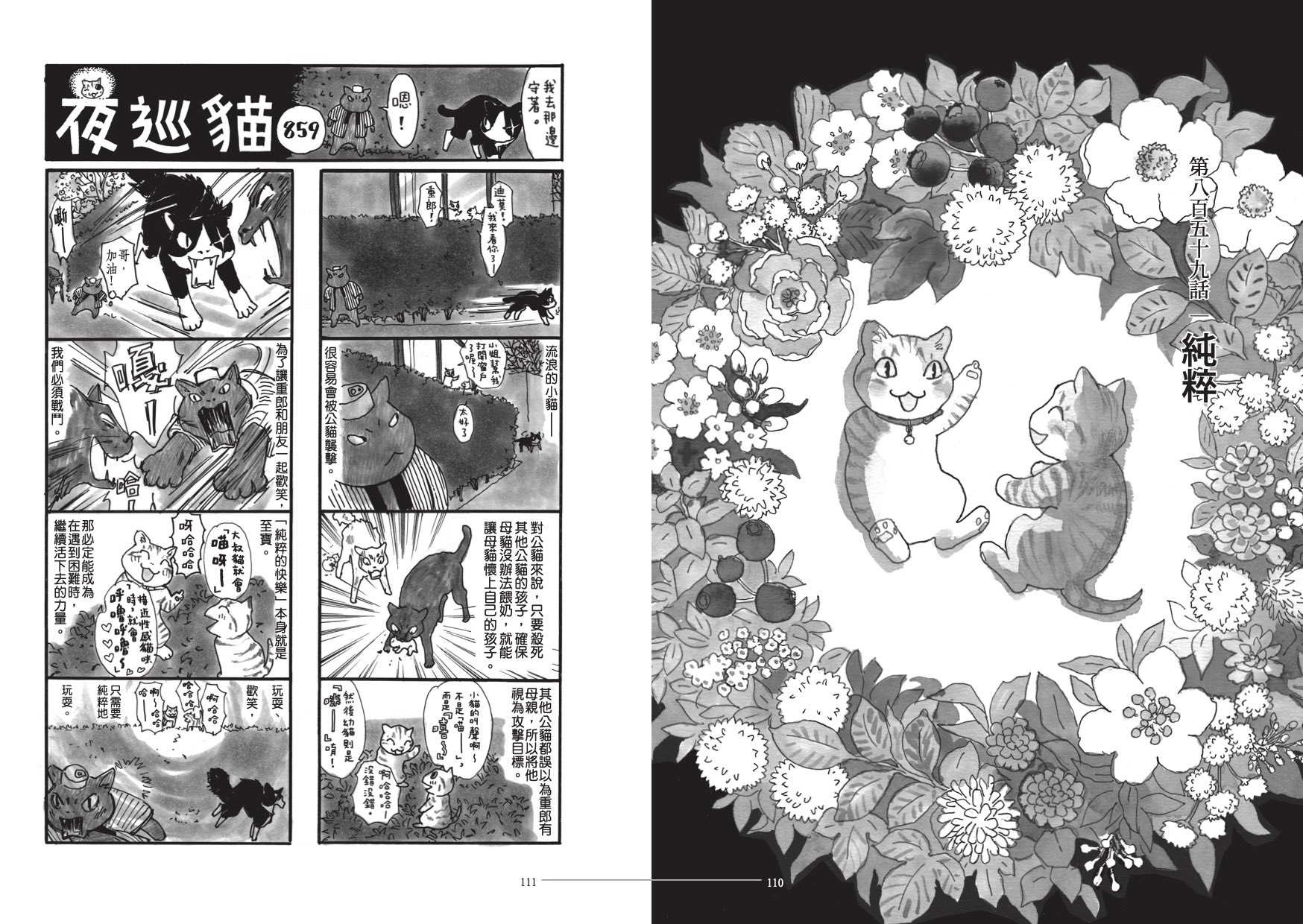 夜巡貓10