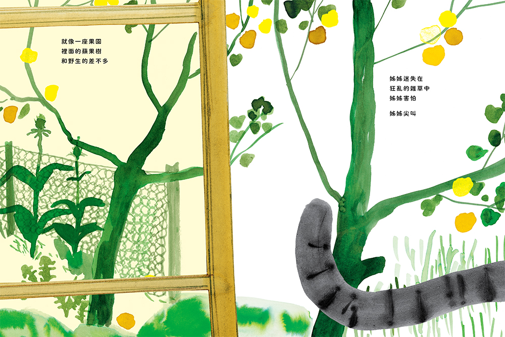 安．艾珀限量套書組1